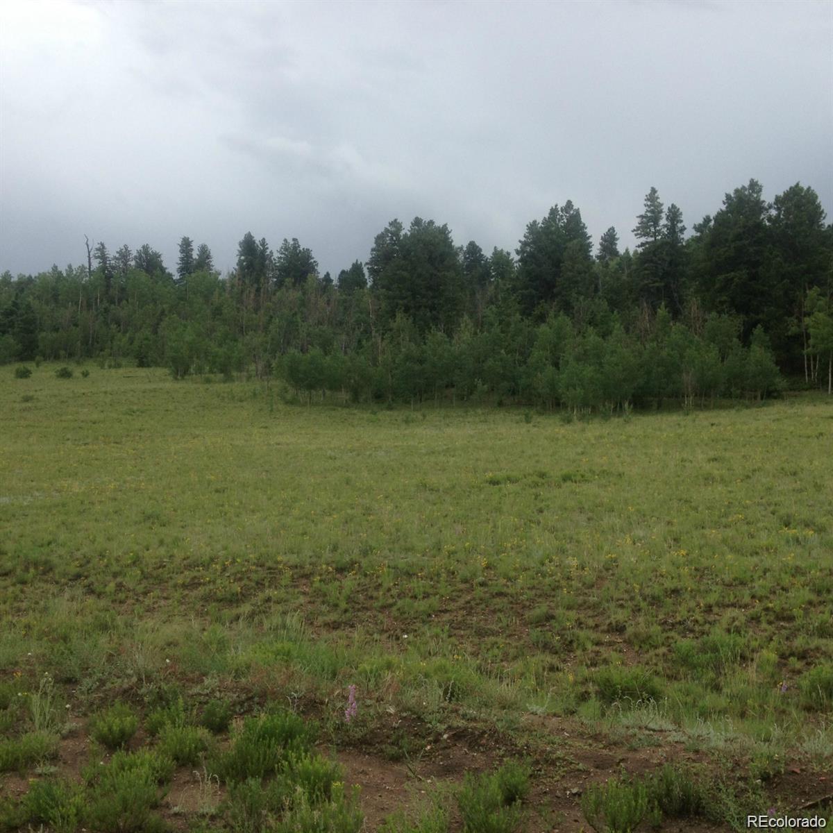1681 Athapascan Road Hartsel CO 80449