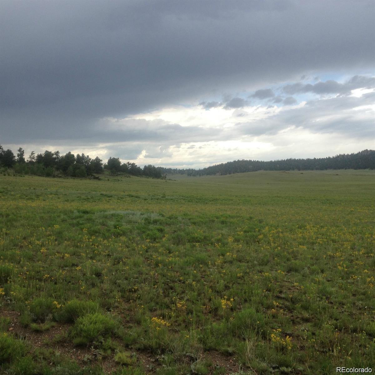 1681 Athapascan Road Hartsel CO 80449