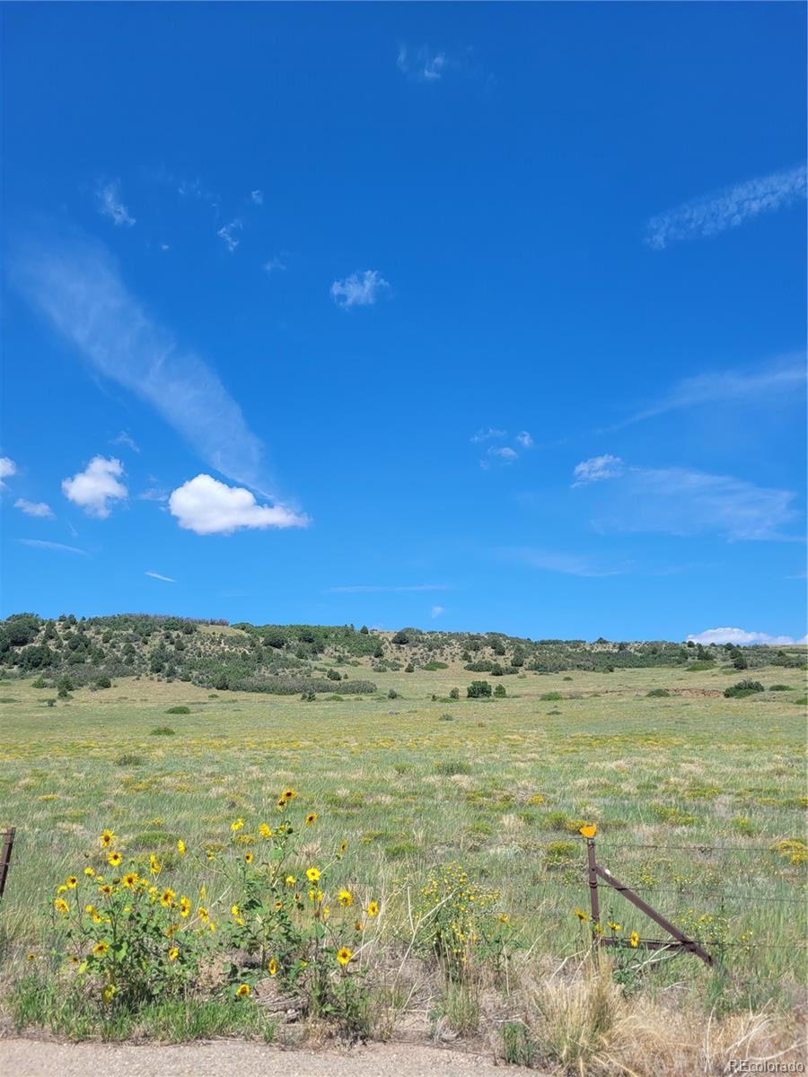 Parrot Drive Alamosa CO 81101