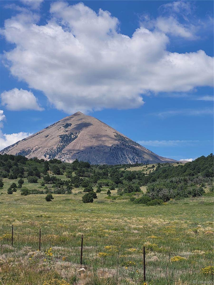 Parrot Drive Alamosa CO 81101