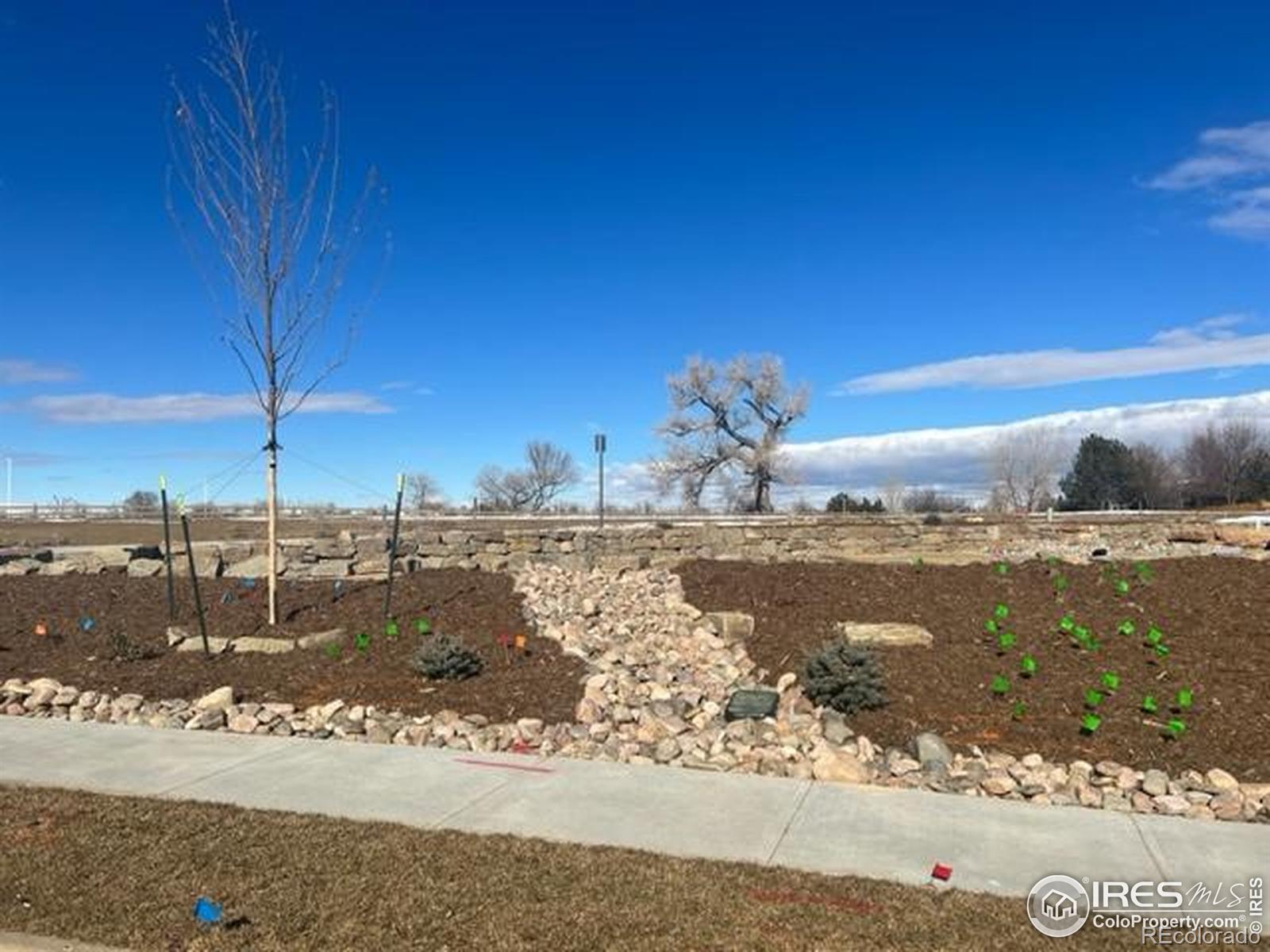 938 Langdale Drive Fort Collins CO 80526