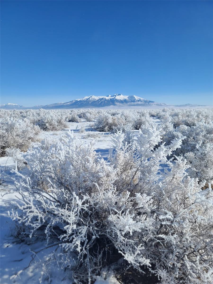 10990 S Road 116 Alamosa CO 81101