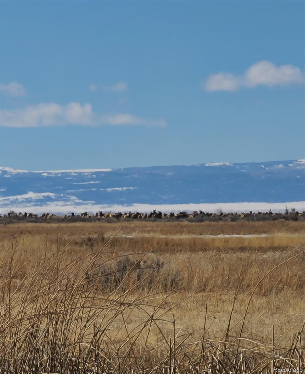 10990 S Road 116 Alamosa CO 81101