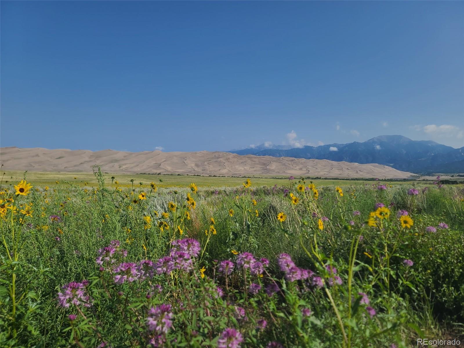 10990 S Road 116 Alamosa CO 81101