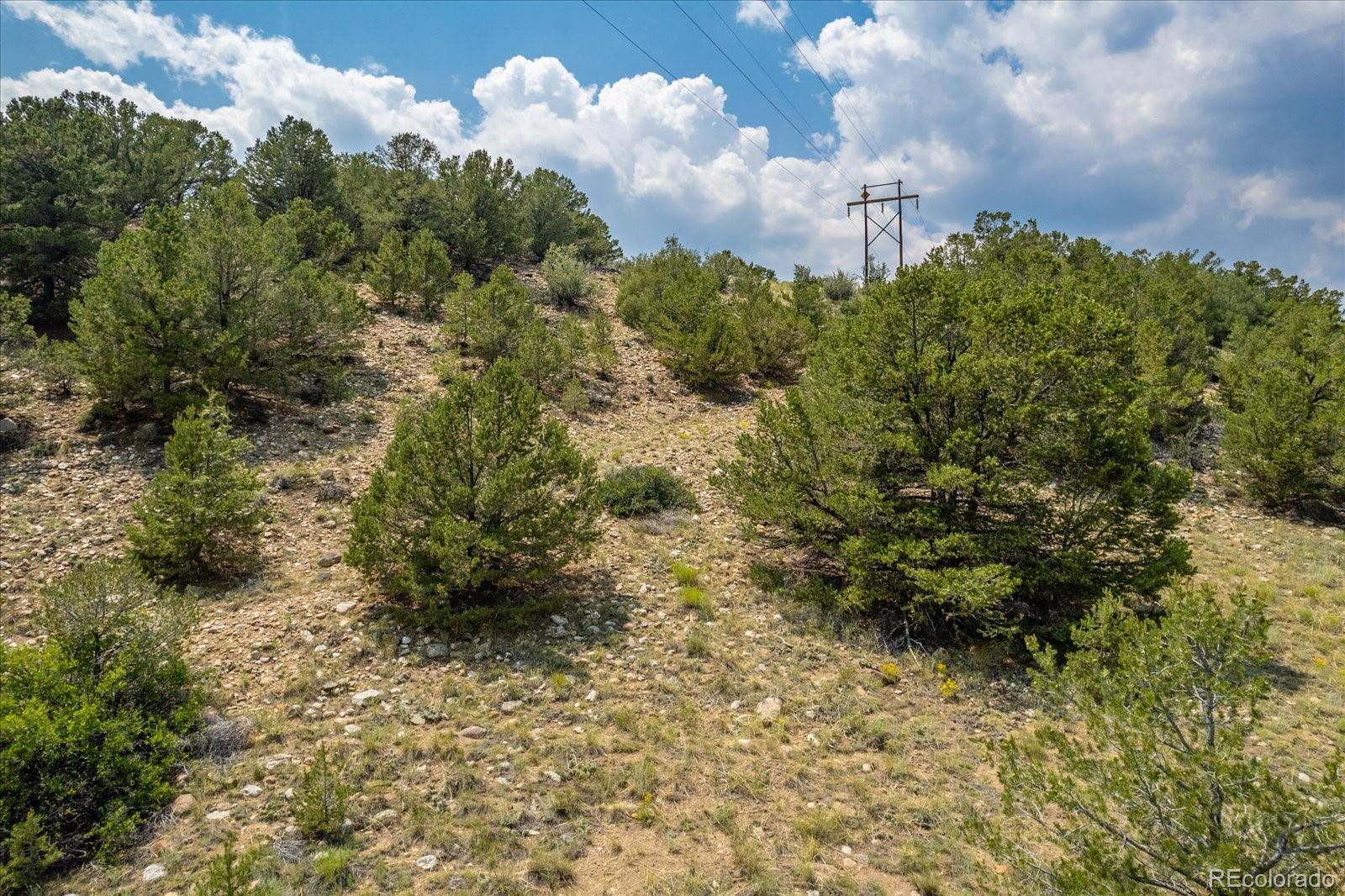 7921 Cozart Lane Salida CO 81201