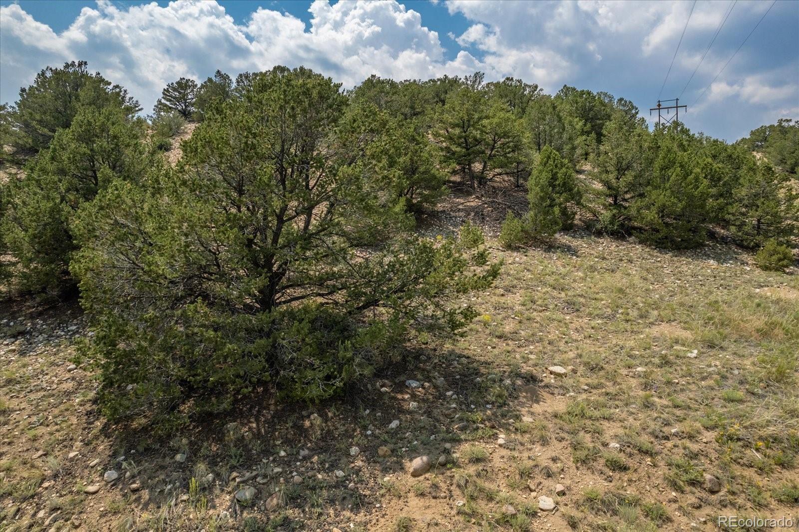 7921 Cozart Lane Salida CO 81201