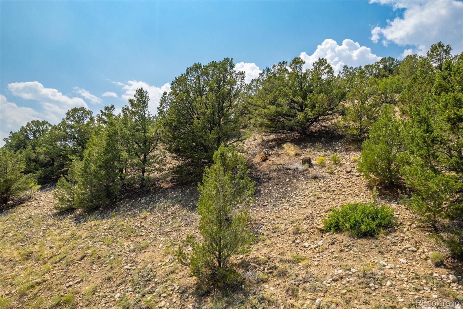 7921 Cozart Lane Salida CO 81201