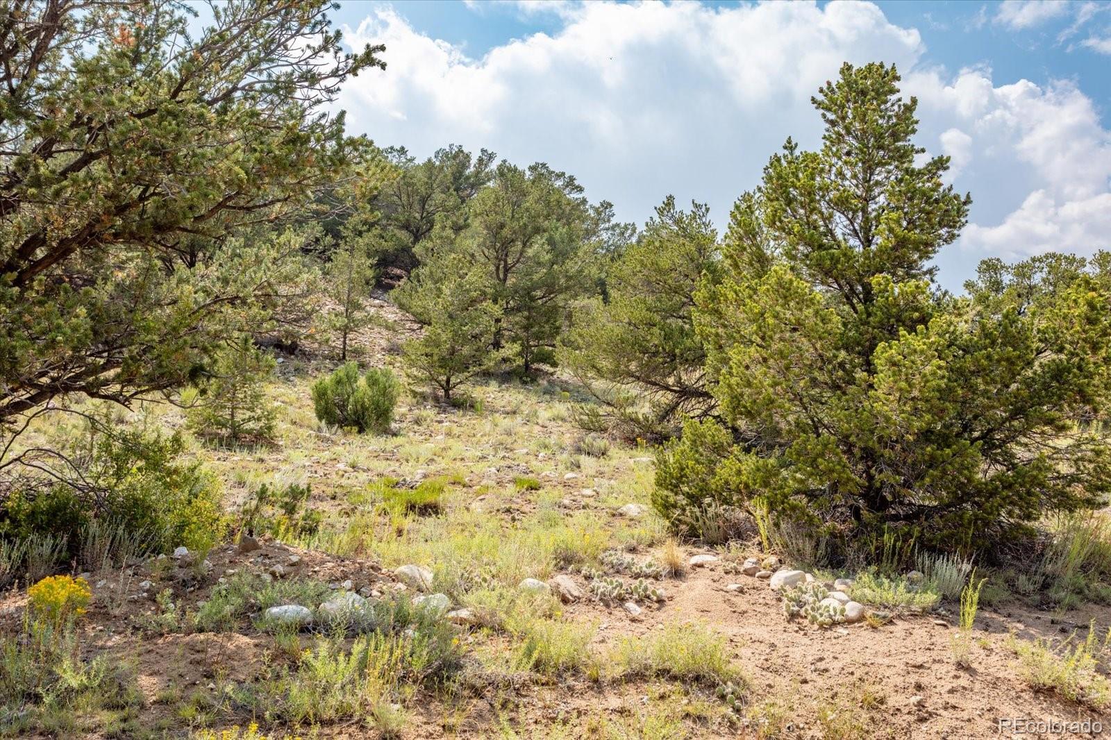 7921 Cozart Lane Salida CO 81201