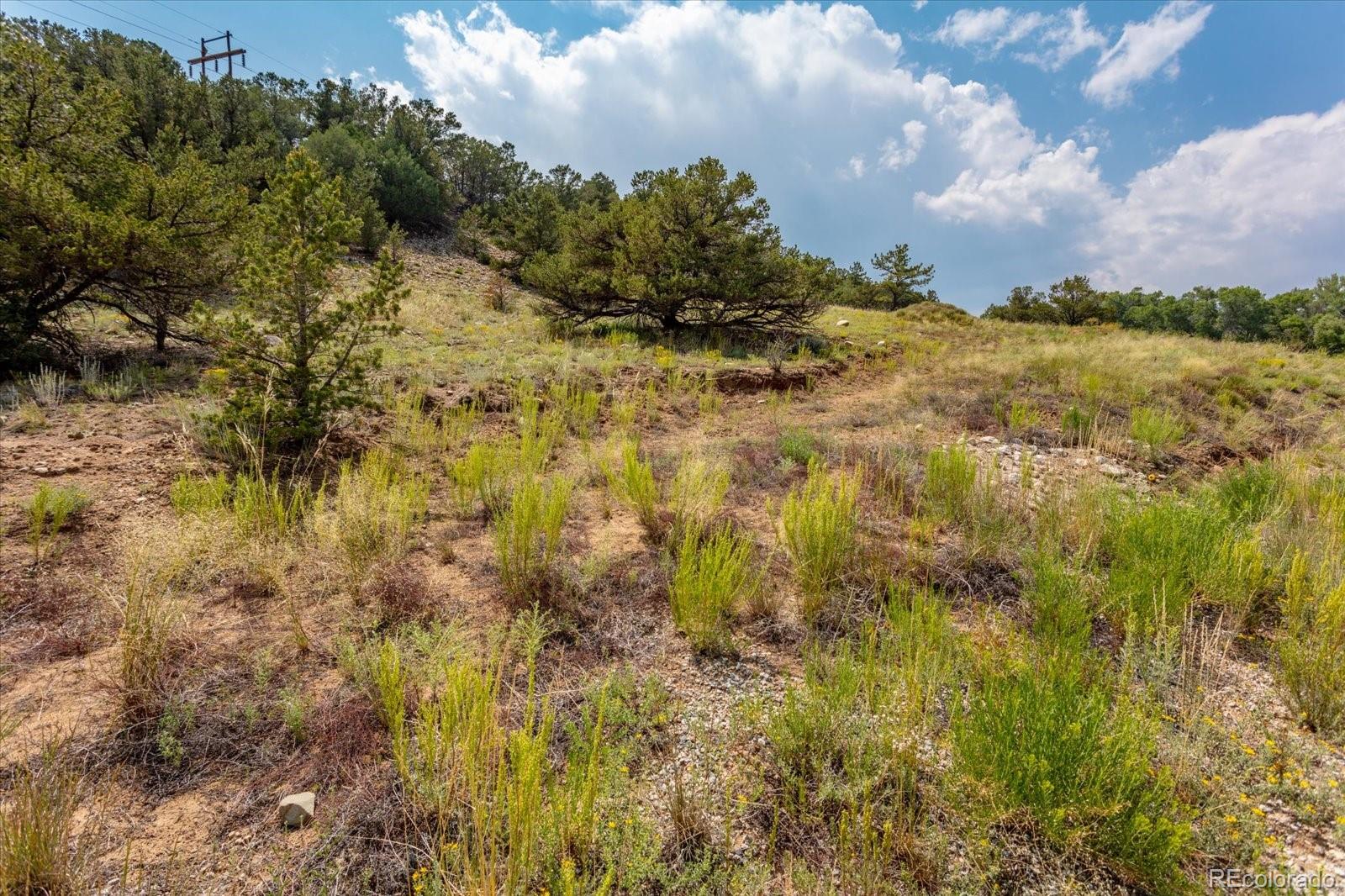 7921 Cozart Lane Salida CO 81201