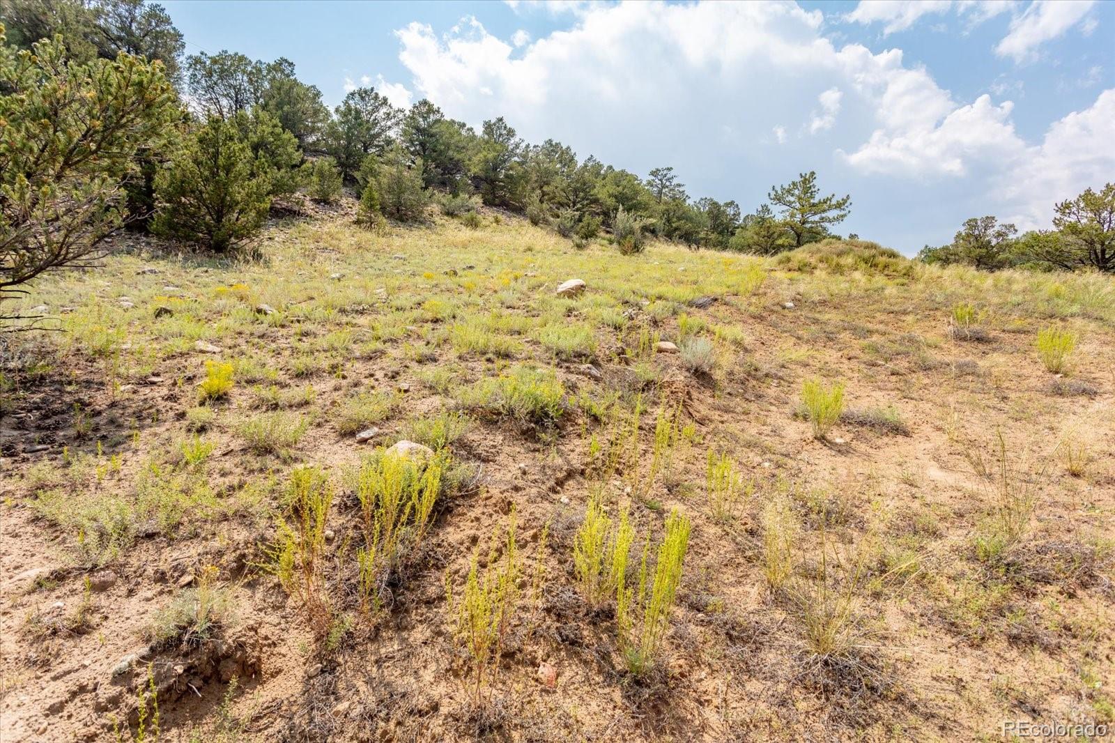 7921 Cozart Lane Salida CO 81201