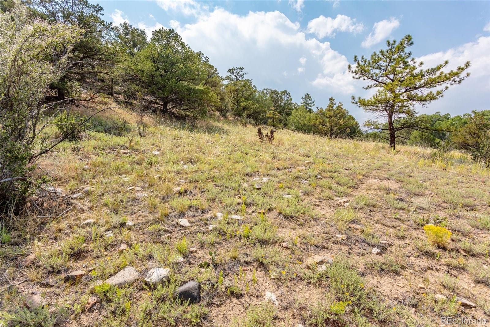 7921 Cozart Lane Salida CO 81201