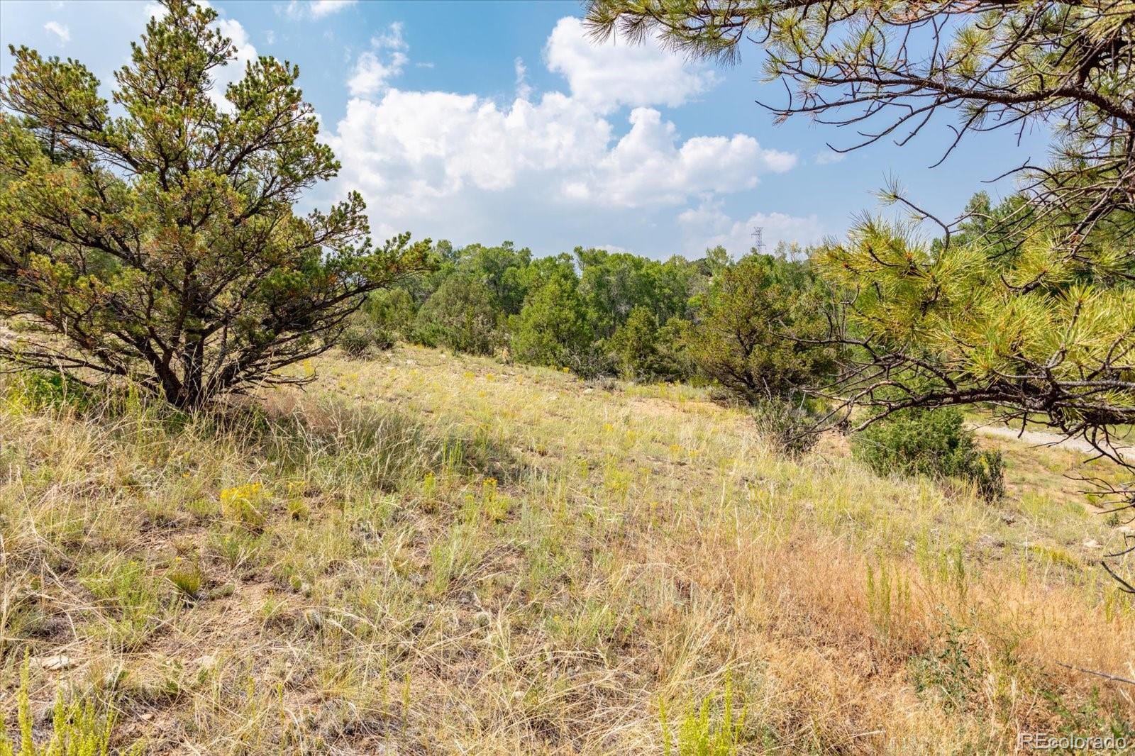 7921 Cozart Lane Salida CO 81201
