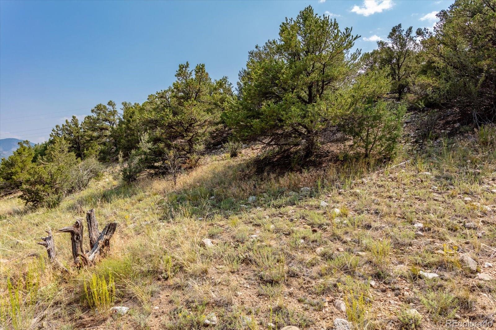 7921 Cozart Lane Salida CO 81201