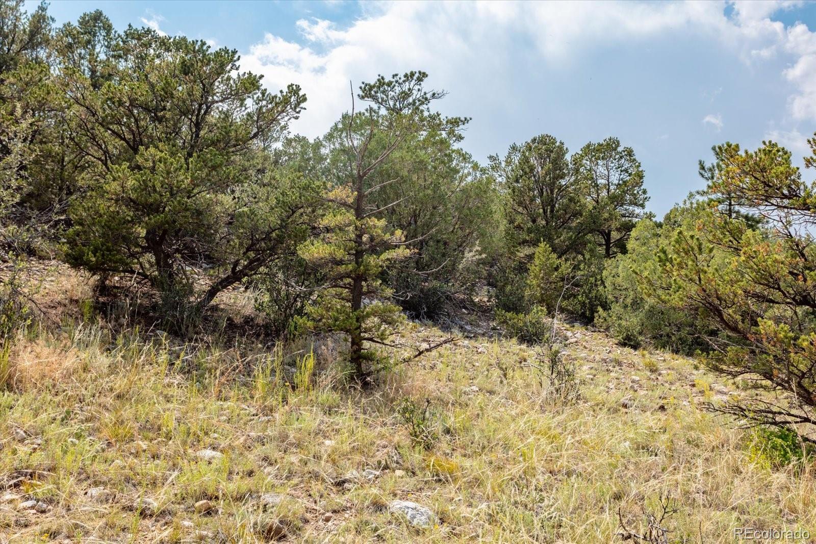 7921 Cozart Lane Salida CO 81201
