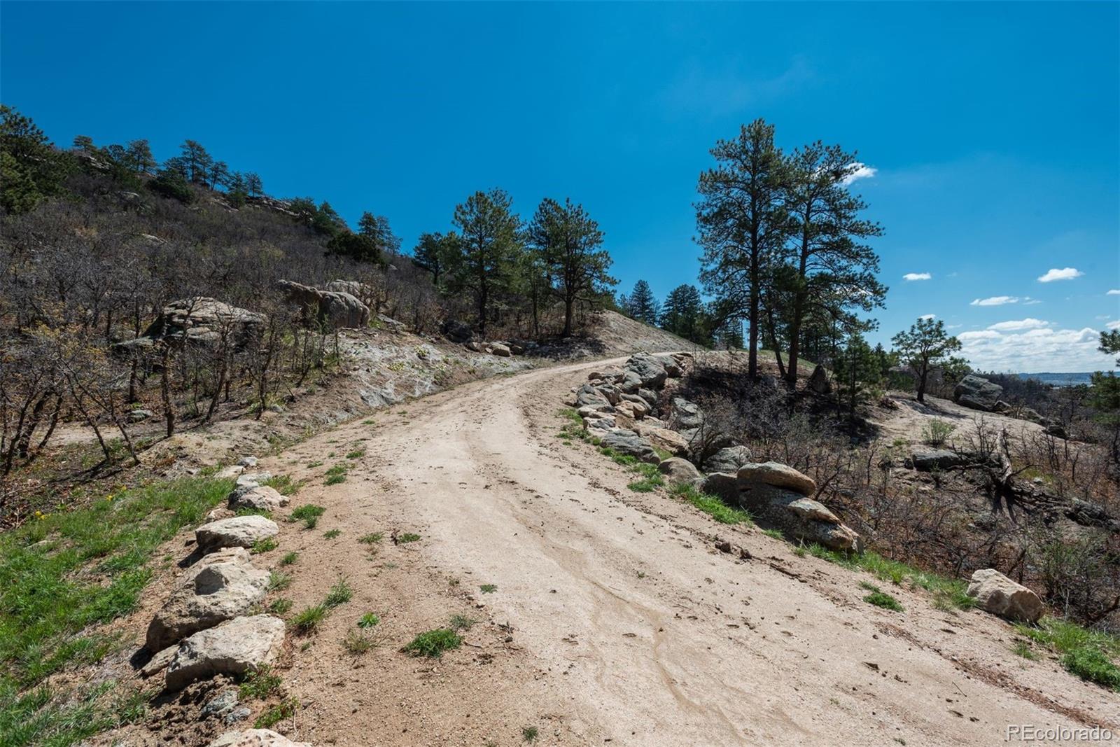 910 Equinox Drive Castle Rock CO 80108