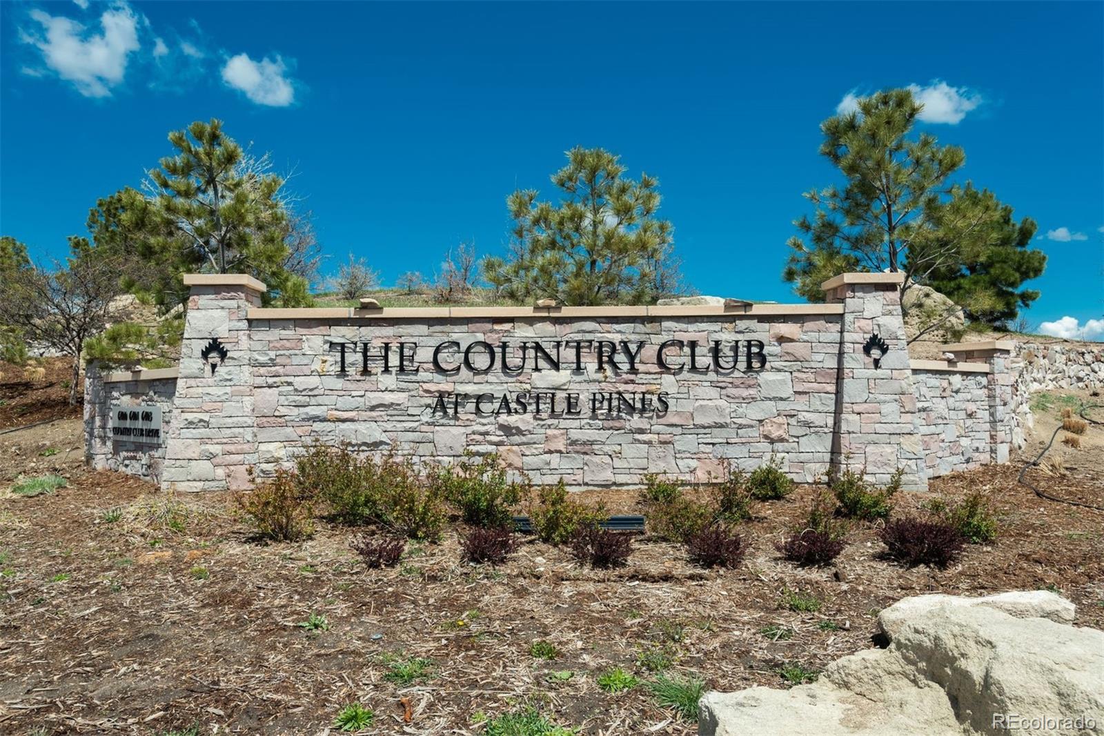 910 Equinox Drive Castle Rock CO 80108