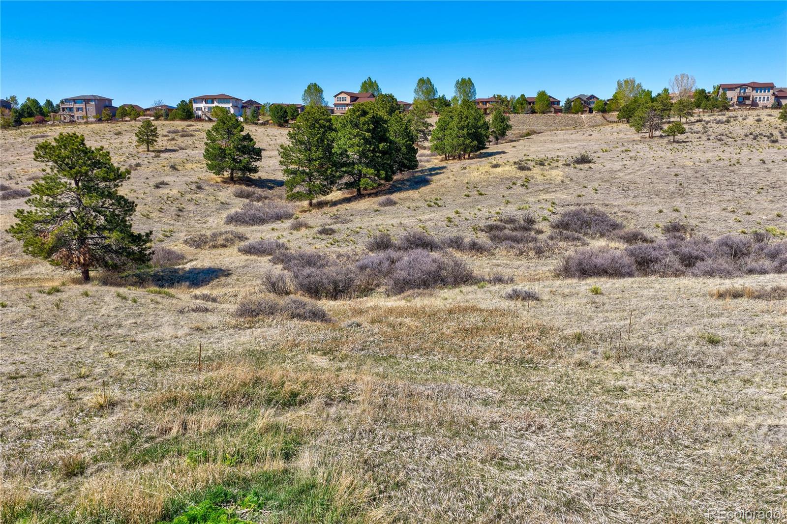 1 Forest Rim Aurora CO 80016