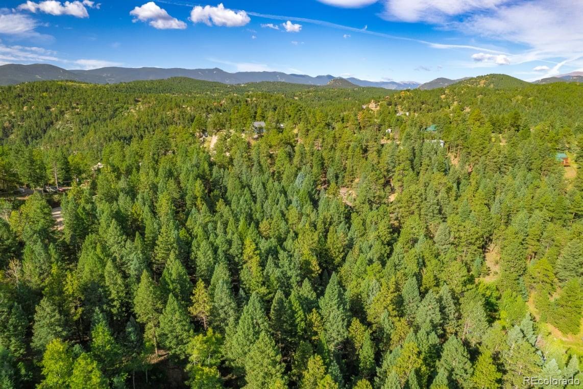 360 Hi Meadow Drive Bailey CO 80421