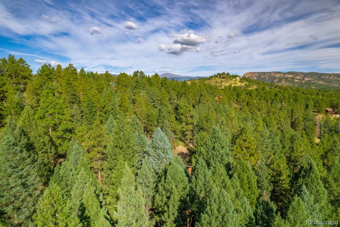 360 Hi Meadow Drive Bailey CO 80421