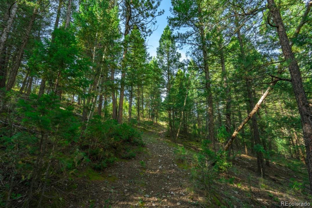360 Hi Meadow Drive Bailey CO 80421