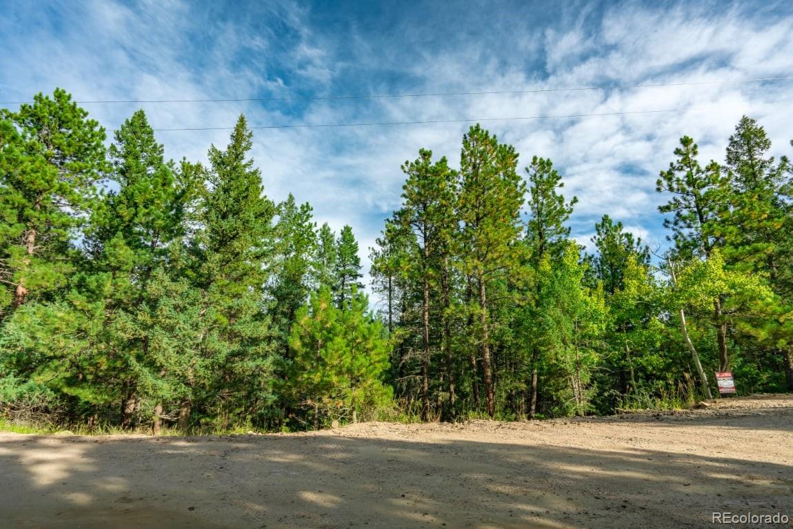 360 Hi Meadow Drive Bailey CO 80421