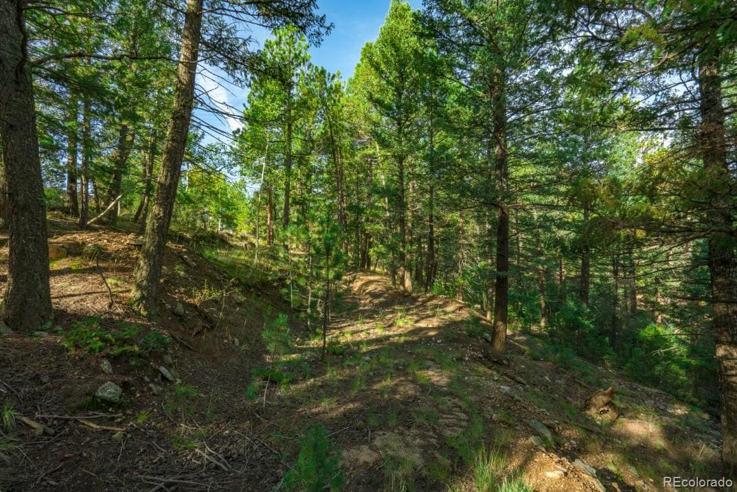 360 Hi Meadow Drive Bailey CO 80421