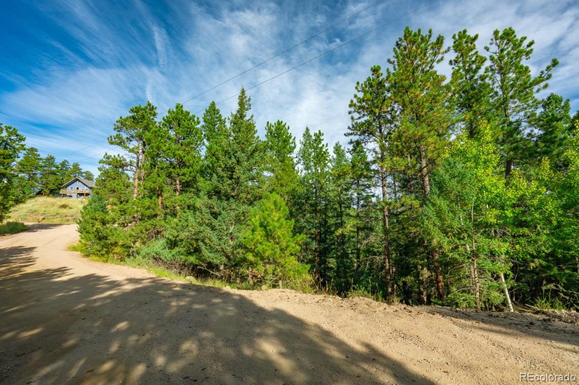 360 Hi Meadow Drive Bailey CO 80421