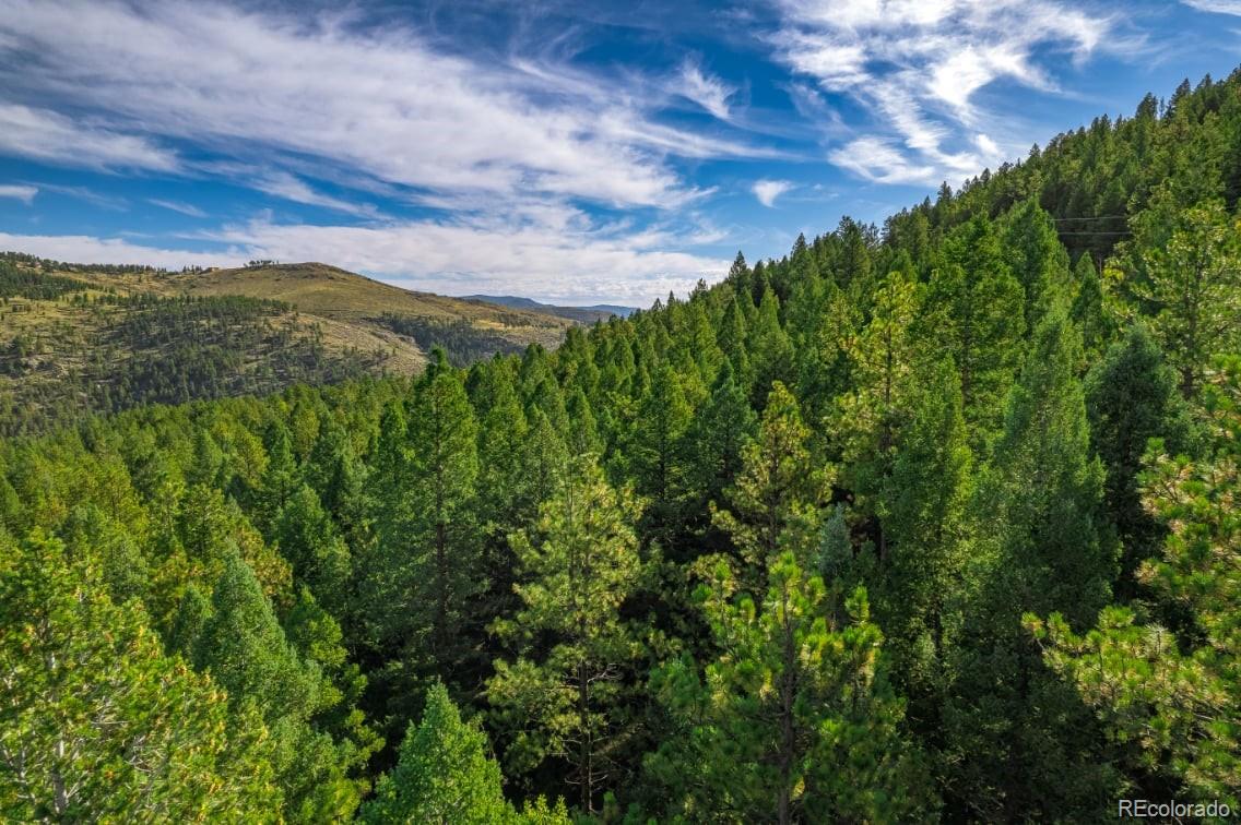 360 Hi Meadow Drive Bailey CO 80421