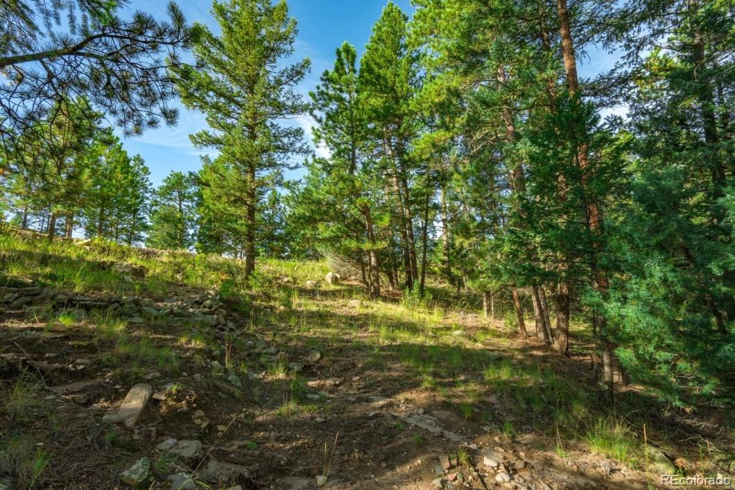 360 Hi Meadow Drive Bailey CO 80421
