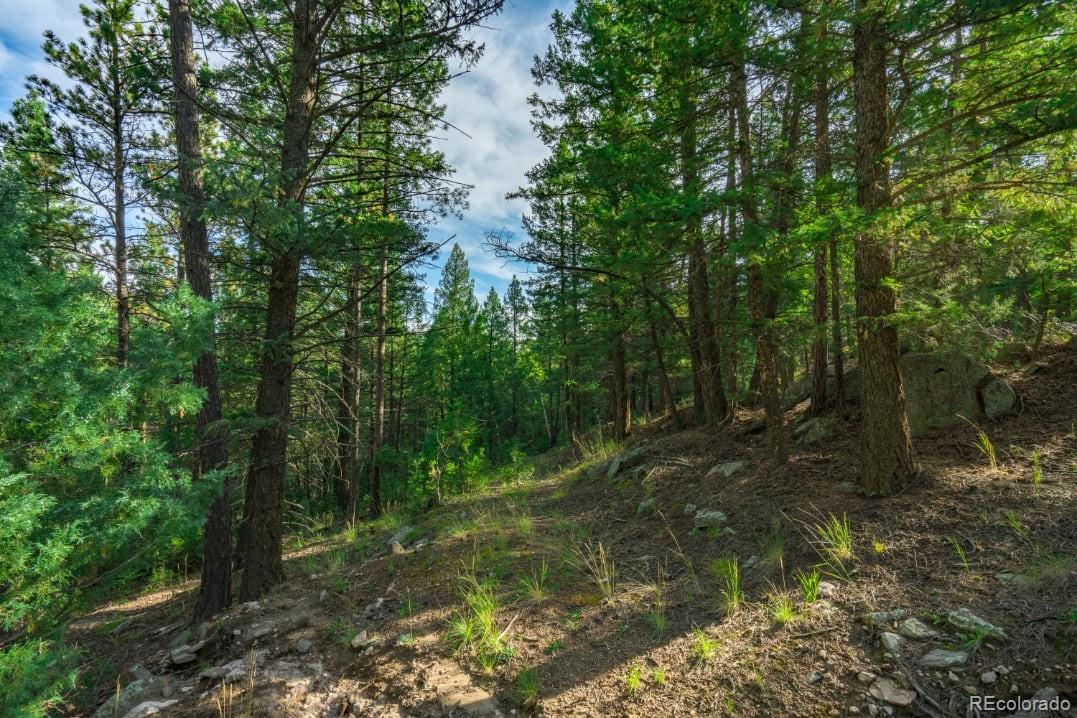 360 Hi Meadow Drive Bailey CO 80421