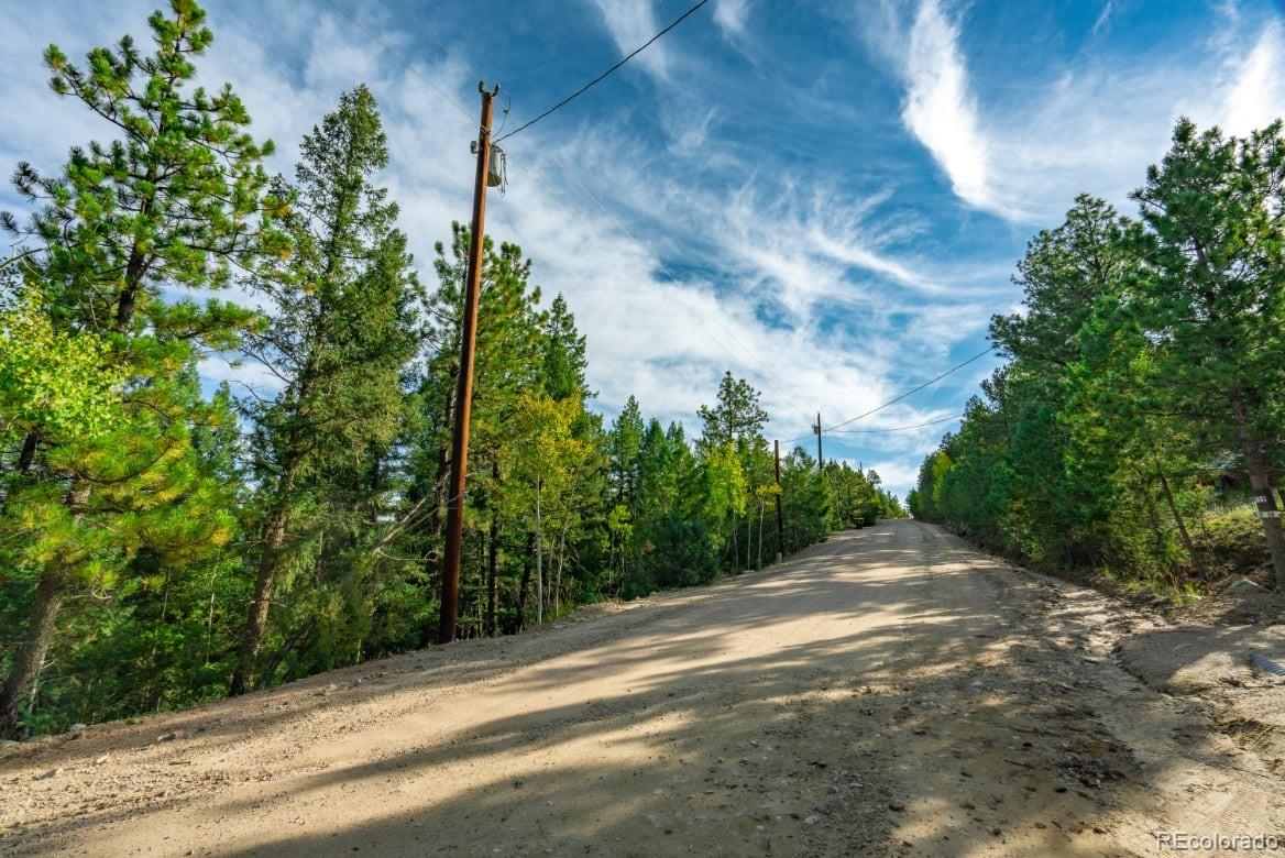 360 Hi Meadow Drive Bailey CO 80421