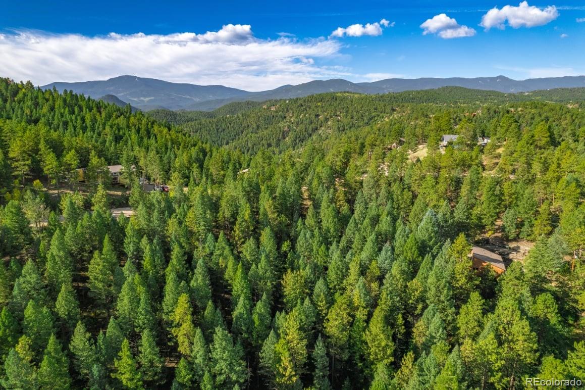 360 Hi Meadow Drive Bailey CO 80421