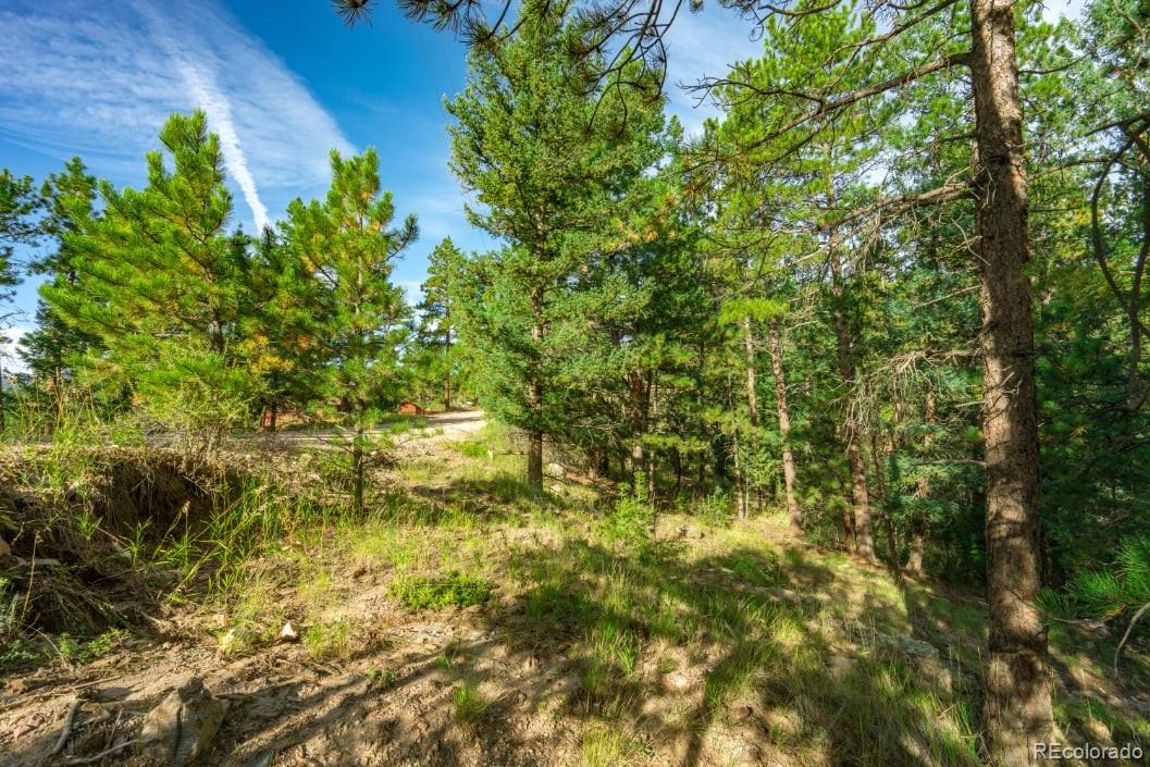 360 Hi Meadow Drive Bailey CO 80421