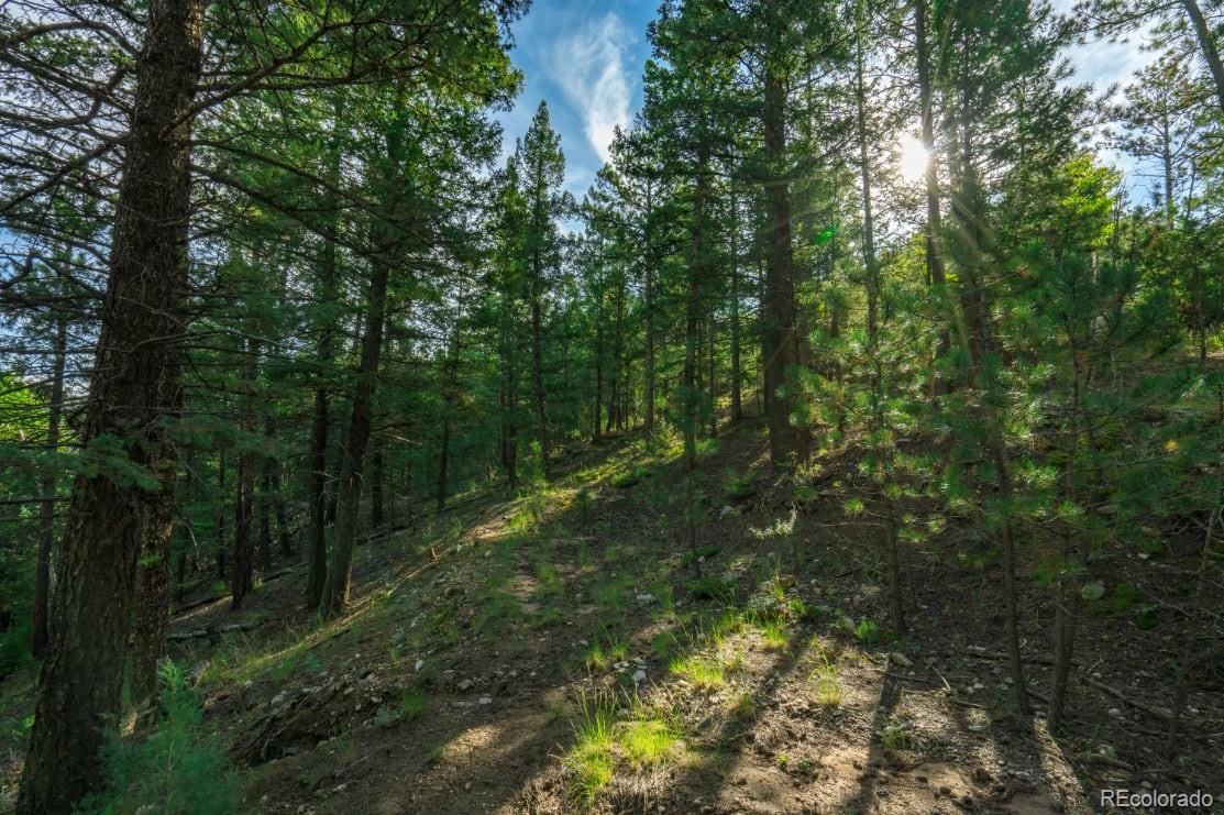 360 Hi Meadow Drive Bailey CO 80421