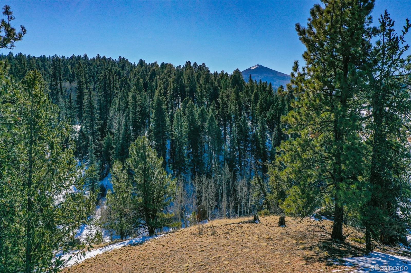 456 Idlewild Drive Cripple Creek CO 80813