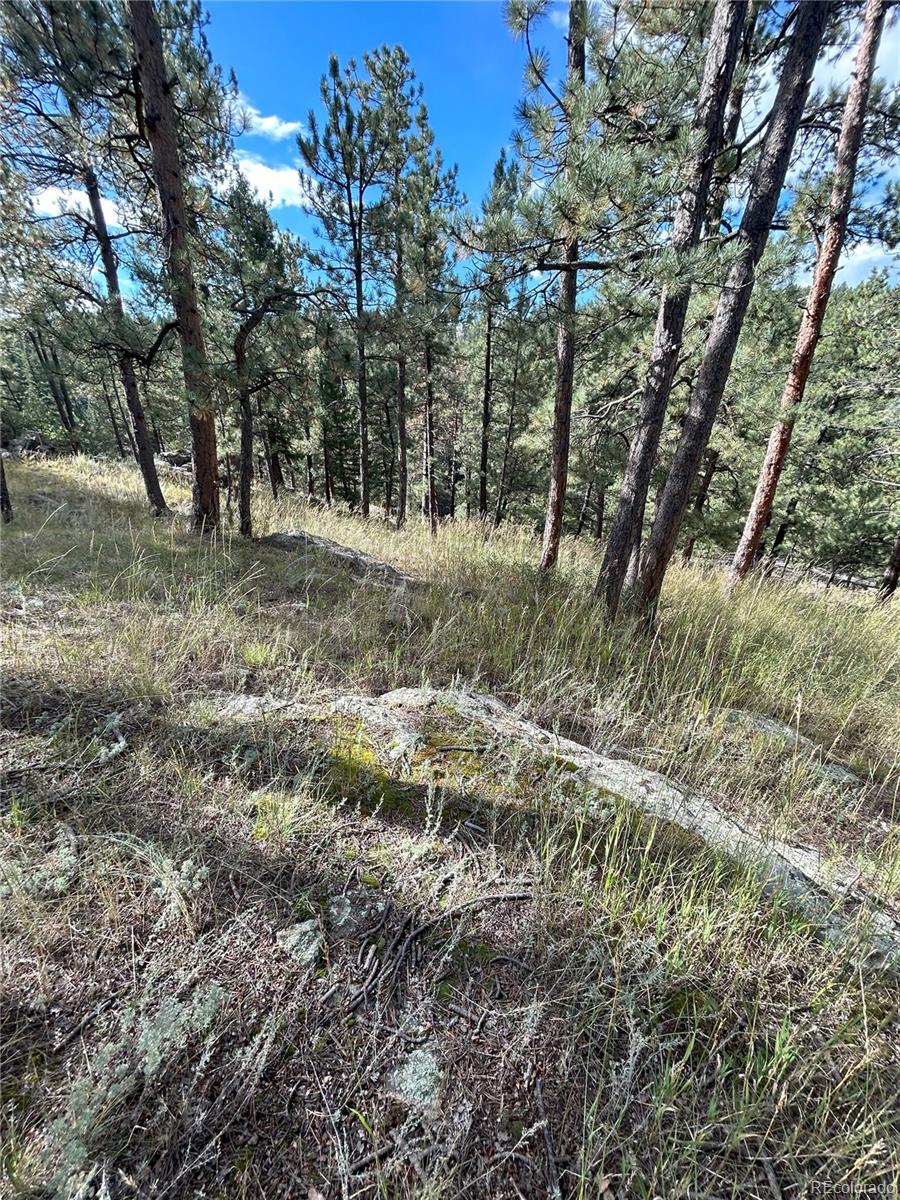 5233 S Road A Evergreen CO 80439