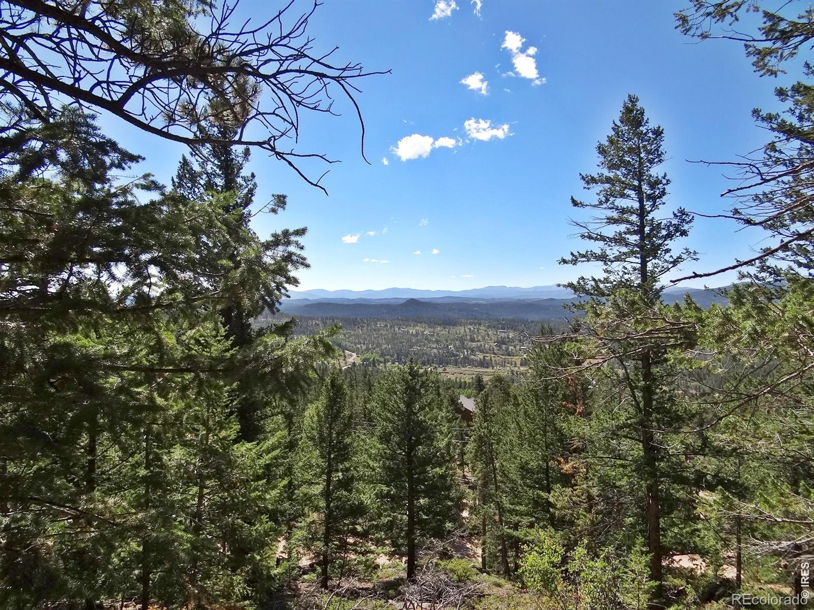 203 Mattapony Way Red Feather Lakes CO 80545