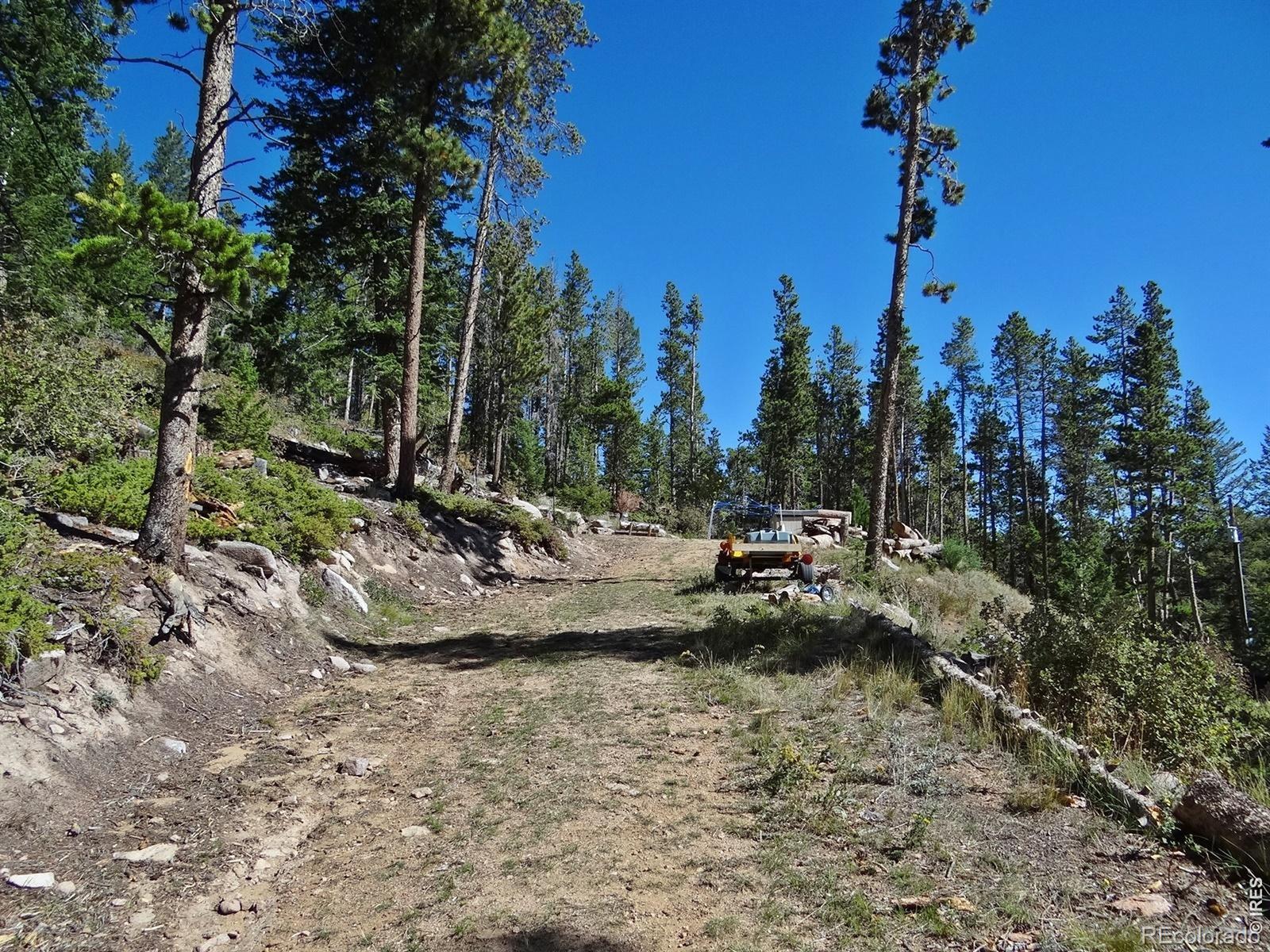 203 Mattapony Way Red Feather Lakes CO 80545