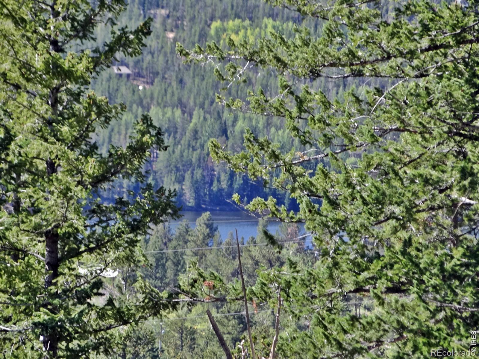 203 Mattapony Way Red Feather Lakes CO 80545