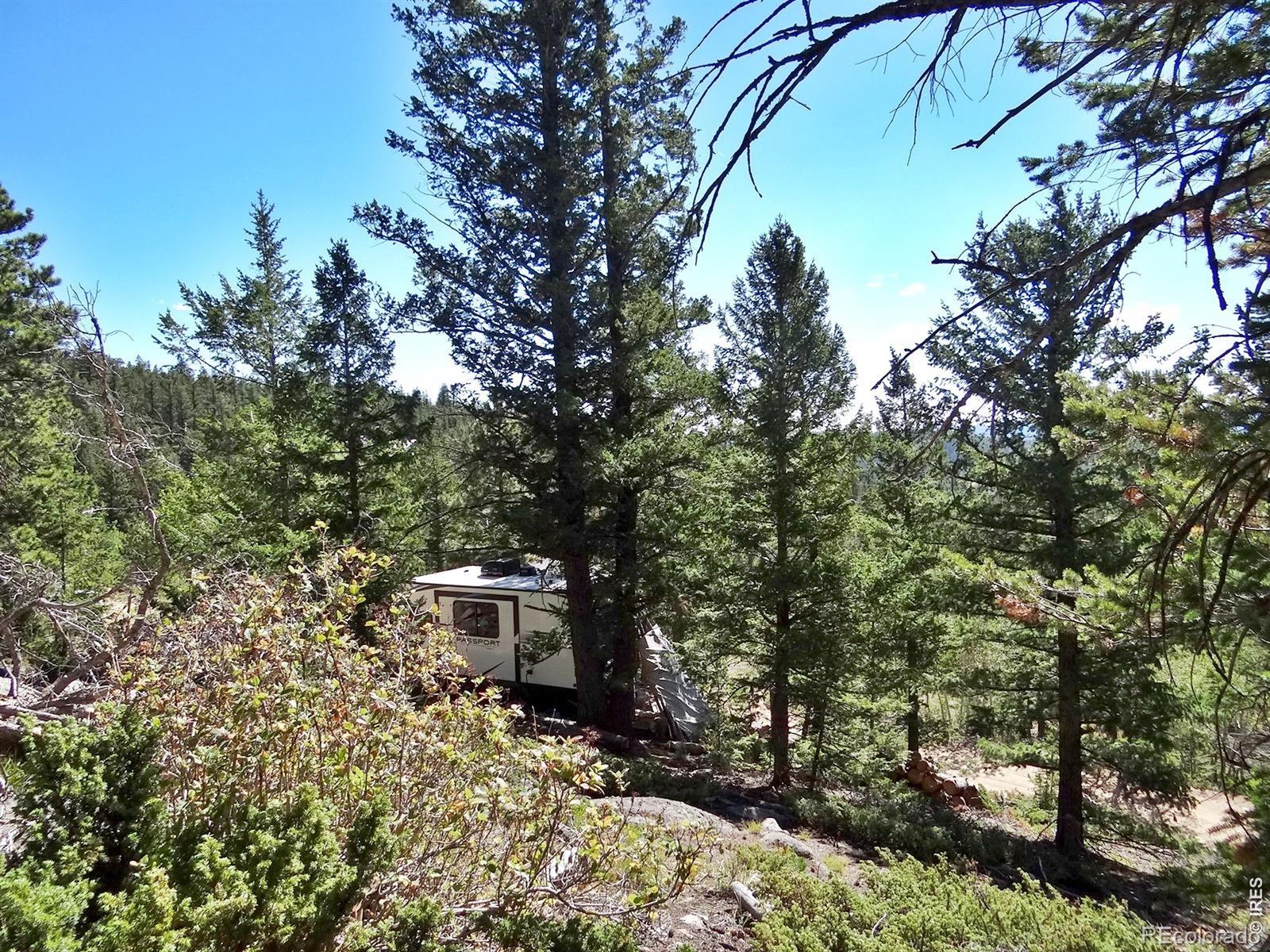 203 Mattapony Way Red Feather Lakes CO 80545