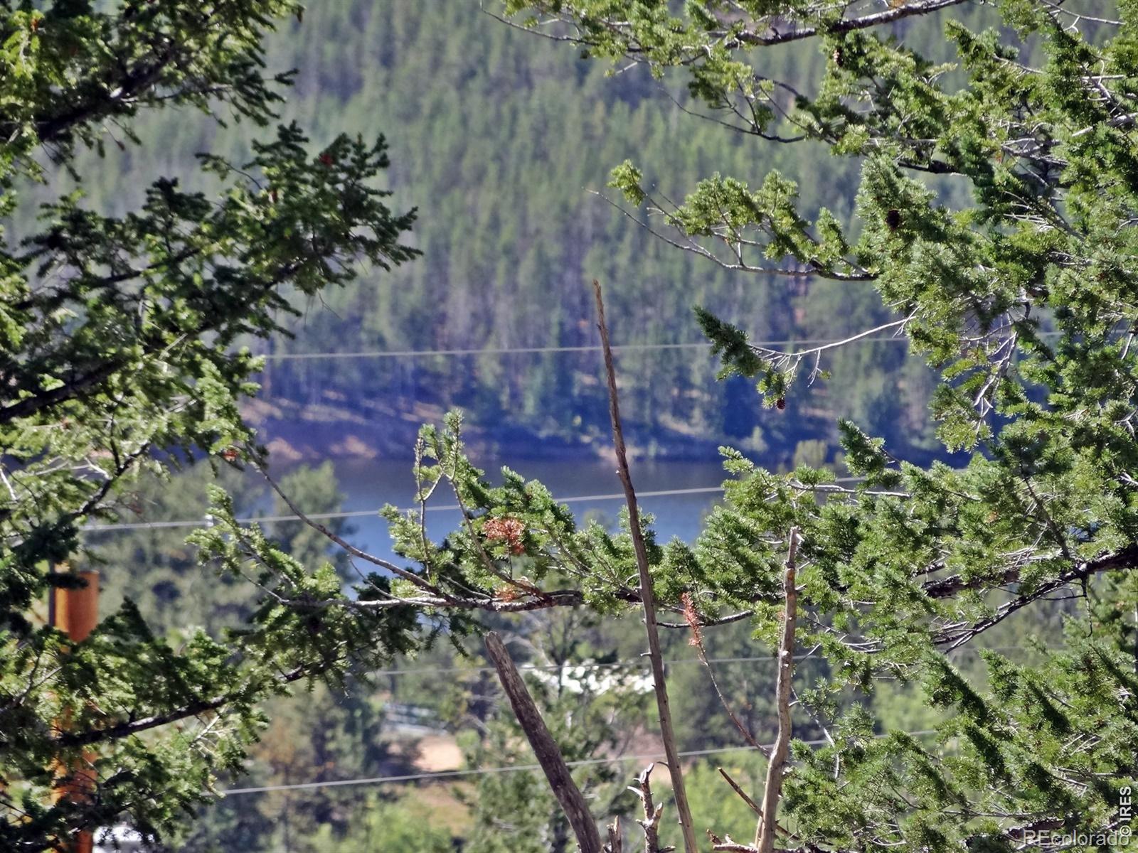 203 Mattapony Way Red Feather Lakes CO 80545