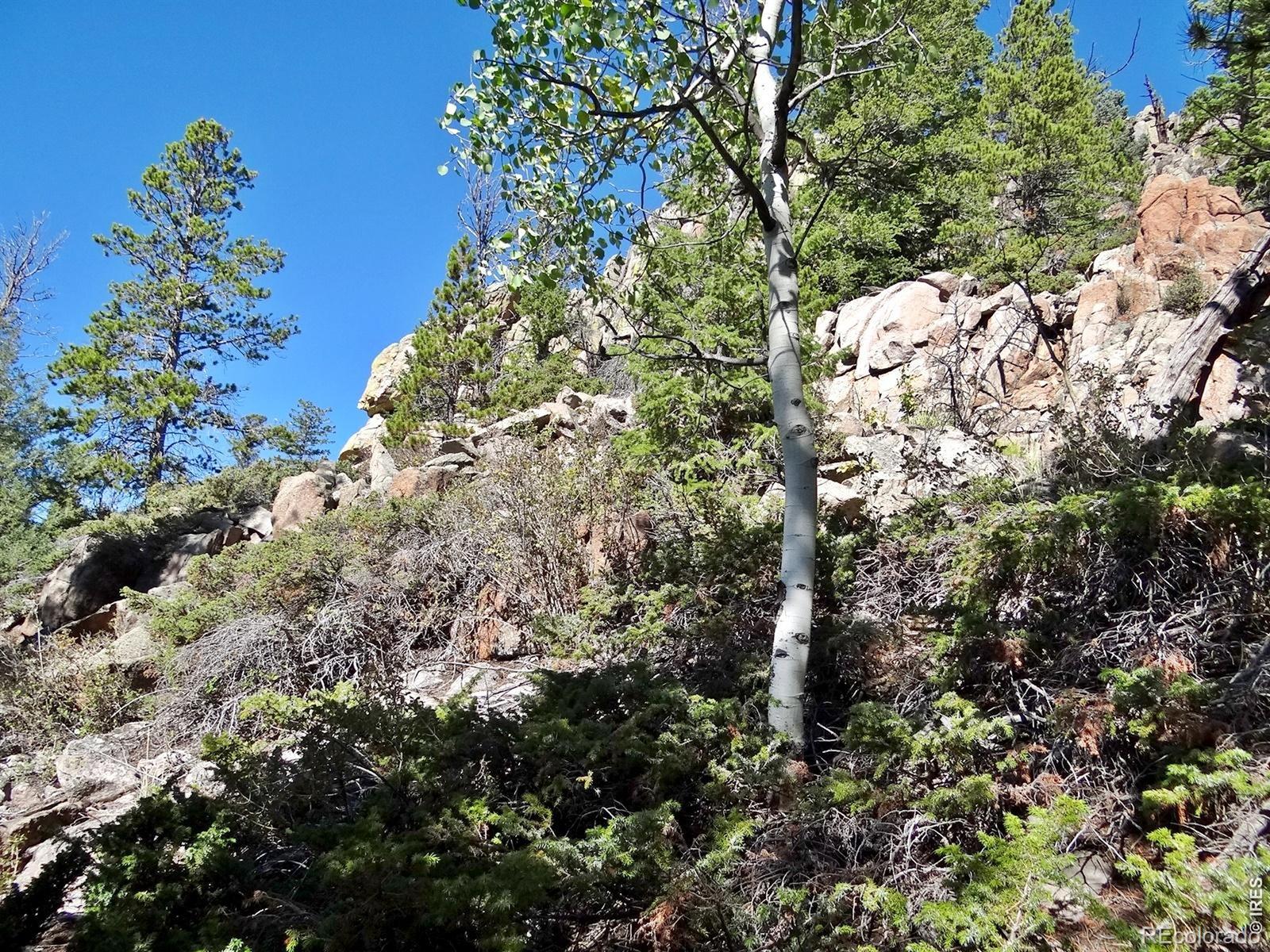 203 Mattapony Way Red Feather Lakes CO 80545