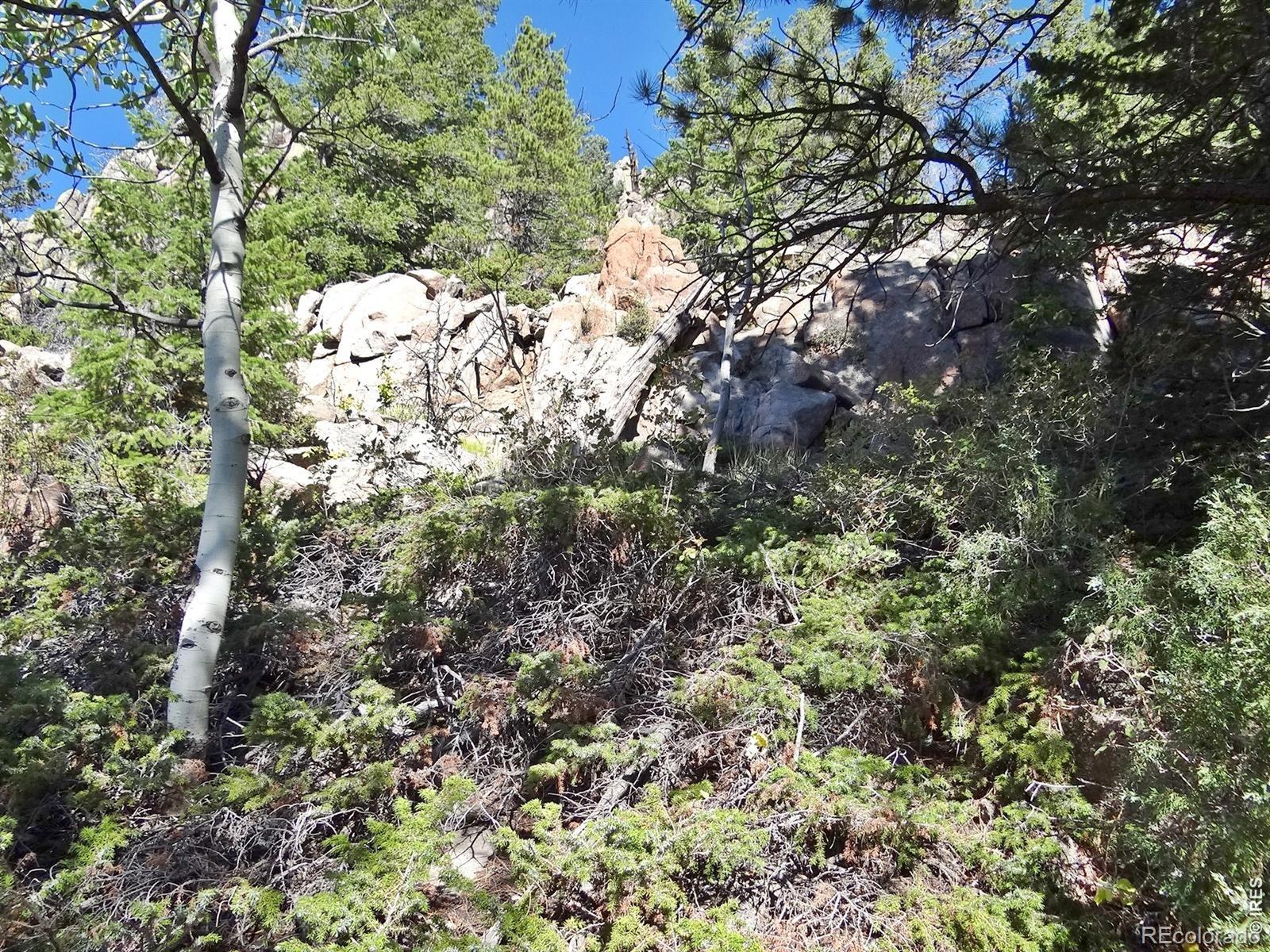 203 Mattapony Way Red Feather Lakes CO 80545