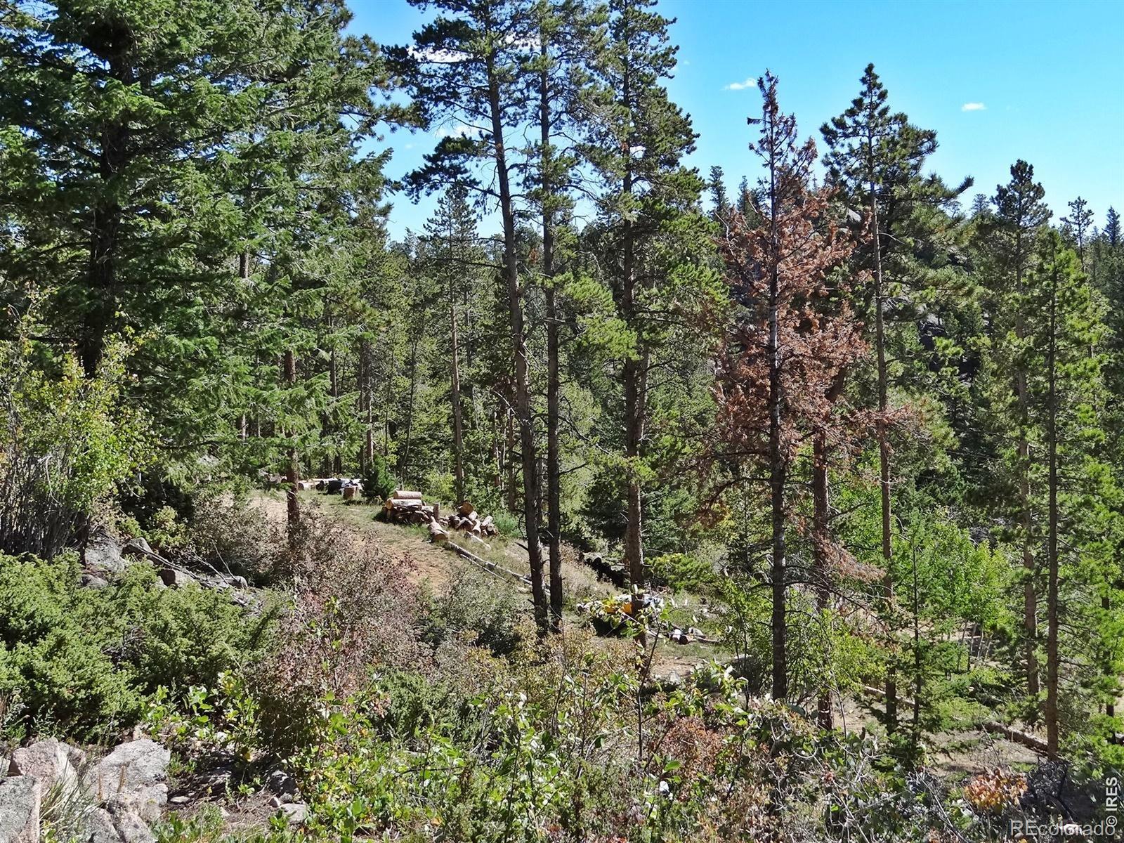 203 Mattapony Way Red Feather Lakes CO 80545