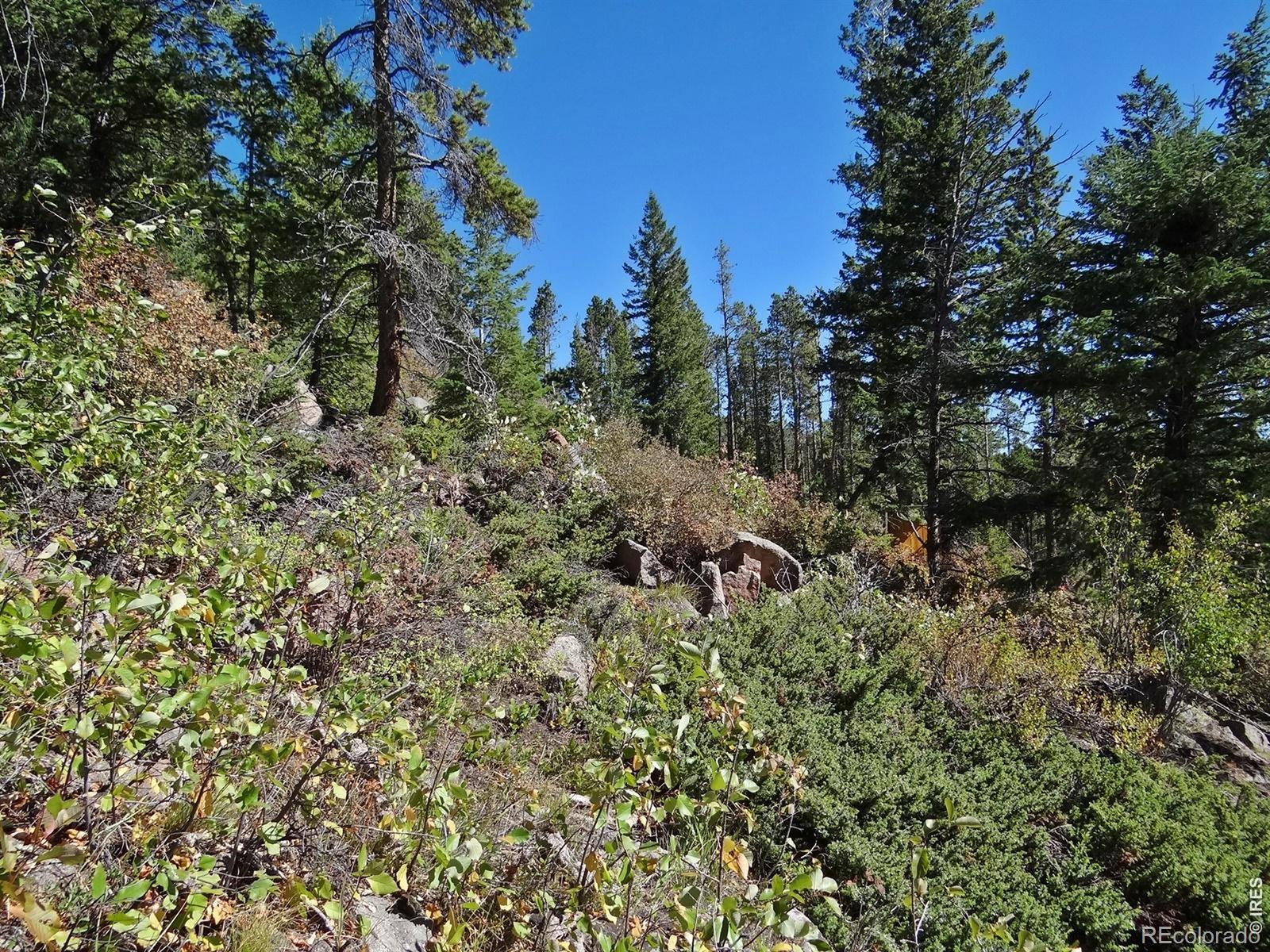 203 Mattapony Way Red Feather Lakes CO 80545