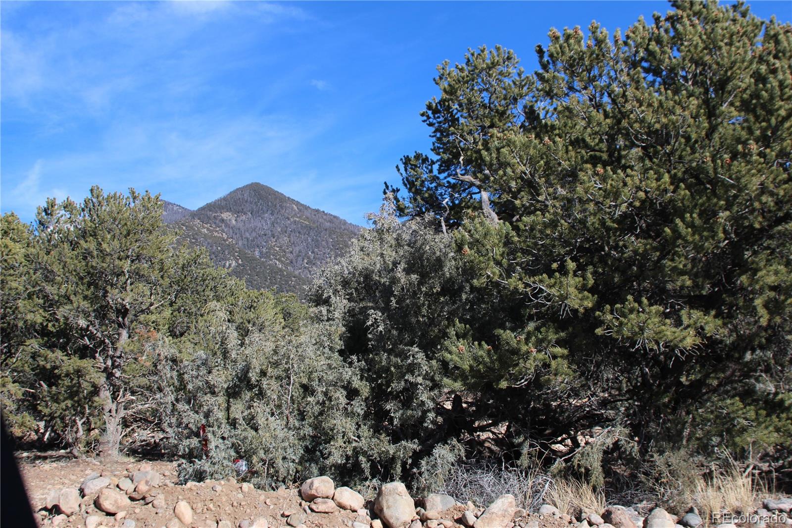 4333 Camino Baca Grande Crestone CO 81131