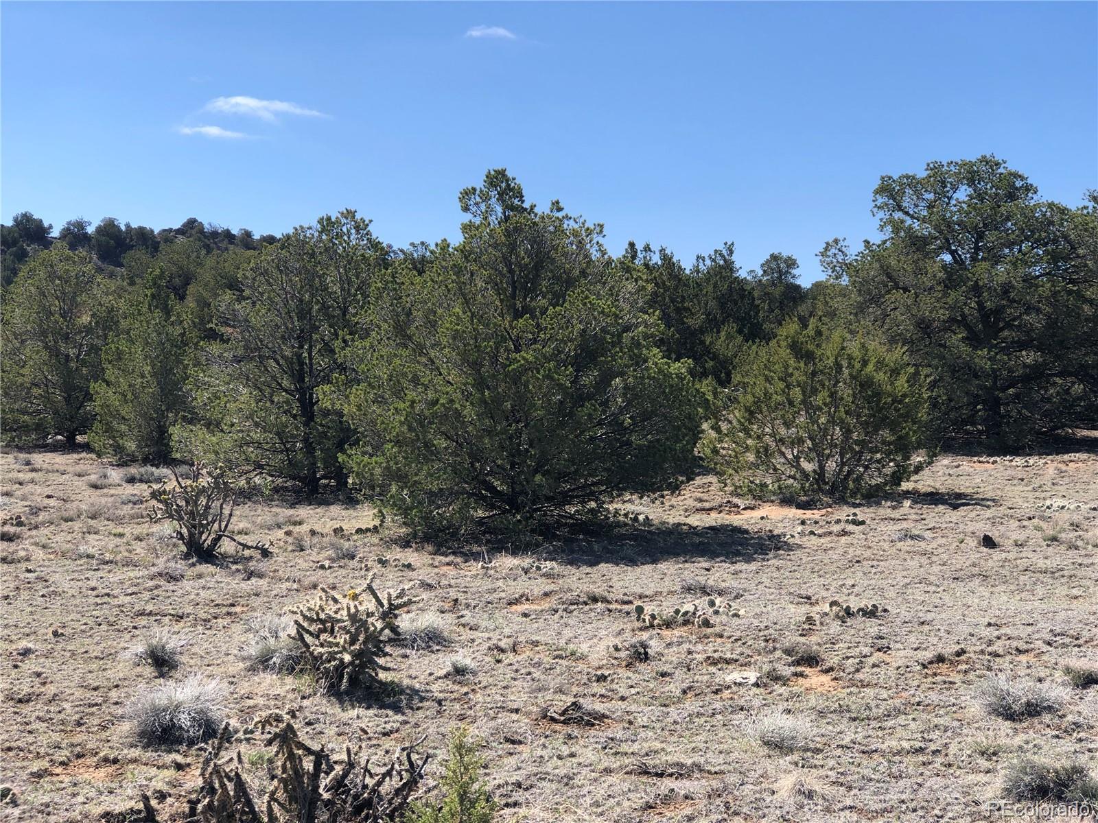 Lot 936 Rio Cucharas Phs #3 Walsenburg CO 81089