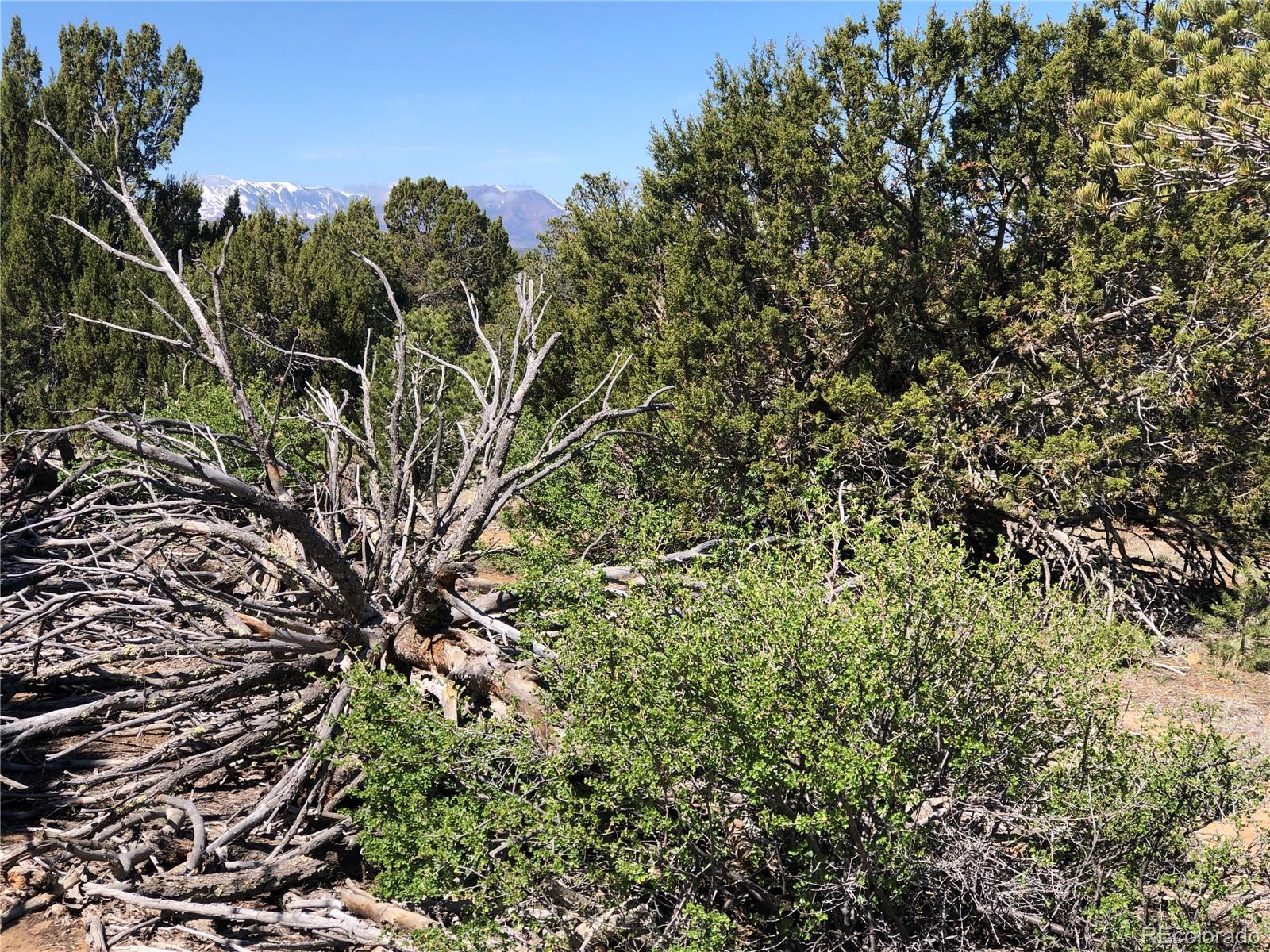 Lot 936 Rio Cucharas Phs #3 Walsenburg CO 81089