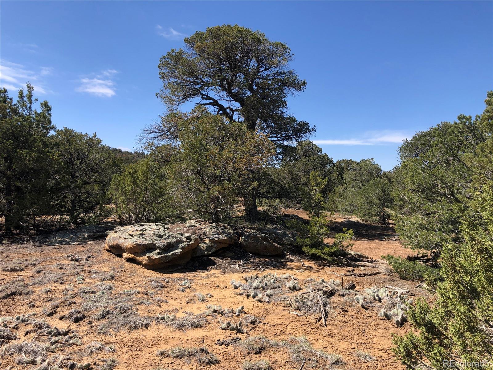 Lot 936 Rio Cucharas Phs #3 Walsenburg CO 81089
