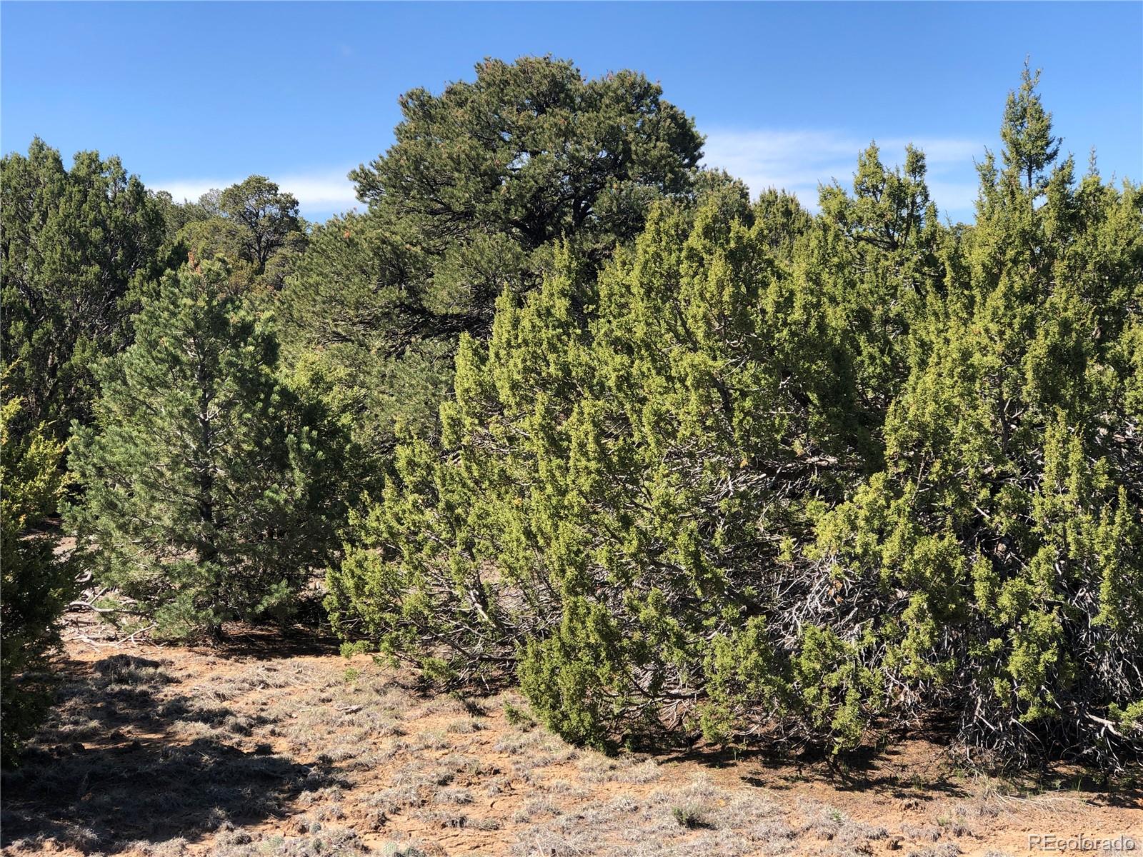 Lot 936 Rio Cucharas Phs #3 Walsenburg CO 81089